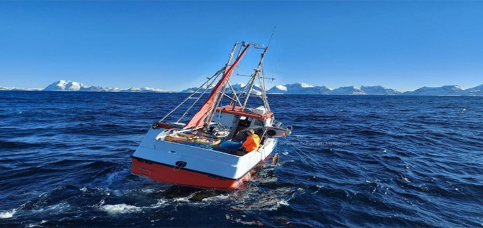 Laporan Pasar Ikan UE Tahun 2025 Mencerminkan Kondisi Pasar Yang Penuh Tantangan